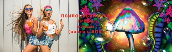 мет Армянск