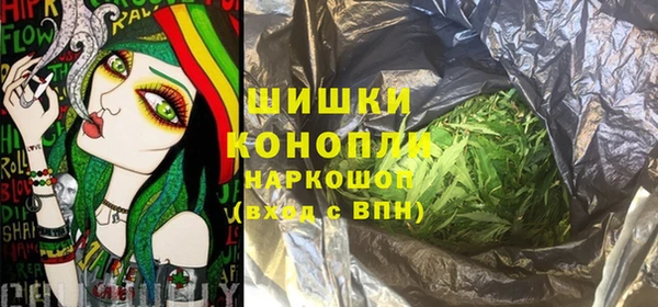PSILOCYBIN Аркадак