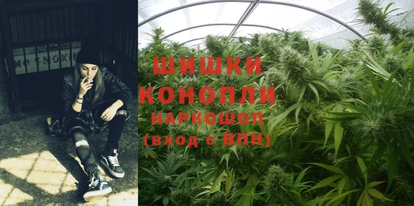 PSILOCYBIN Аркадак
