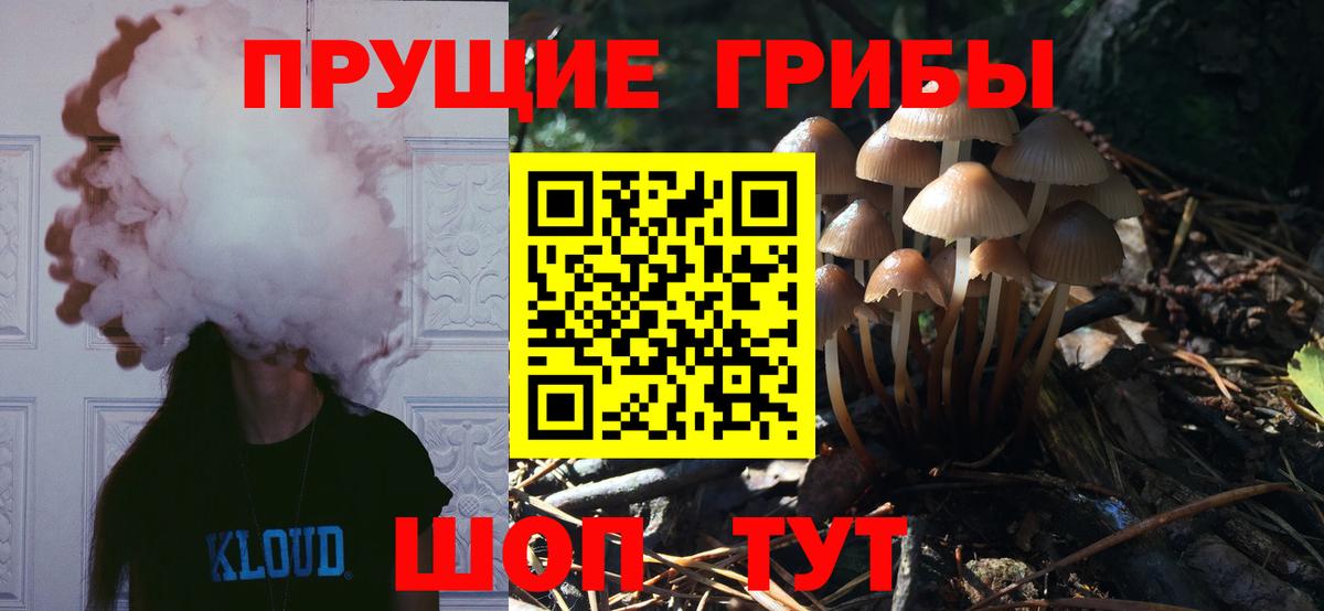 Псилоцибиновые грибы мицелий Волжский